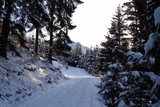 03 Hochlantschblick.JPG